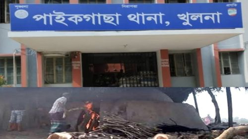 অবৈধ কাঠ কয়লার ধোঁয়ায় শ্বাসরুদ্ধ চাঁদখালী