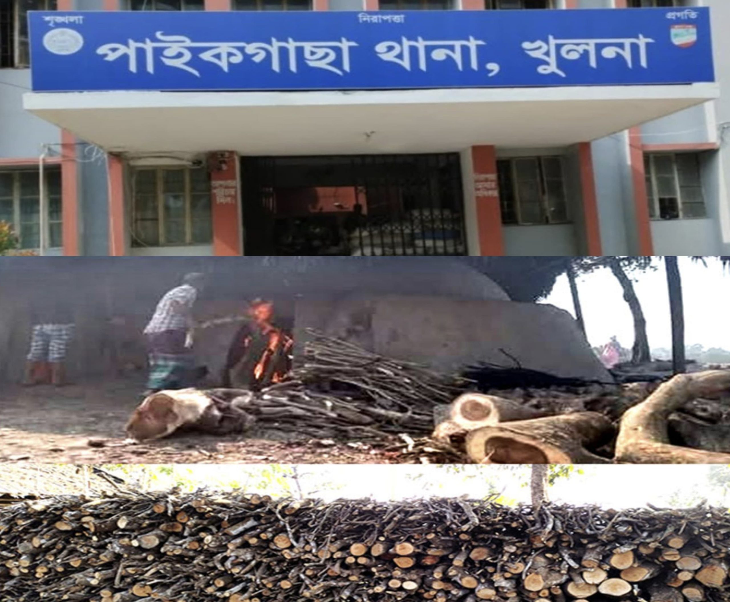 অবৈধ কাঠ কয়লার ধোঁয়ায় শ্বাসরুদ্ধ চাঁদখালী