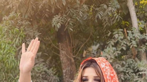 পররাষ্ট্র মন্ত্রণালয়ের প্রতিমন্ত্রীর দায়িত্ব পেলেন শ্যামা ওবায়েদ ইসলাম রিংকু — তারেক রহমানের সিদ্ধান্তে কৃতজ্ঞতা, আন্তর্জাতিক কূটনীতিতে নতুন সম্ভাবনার আশাবাদ