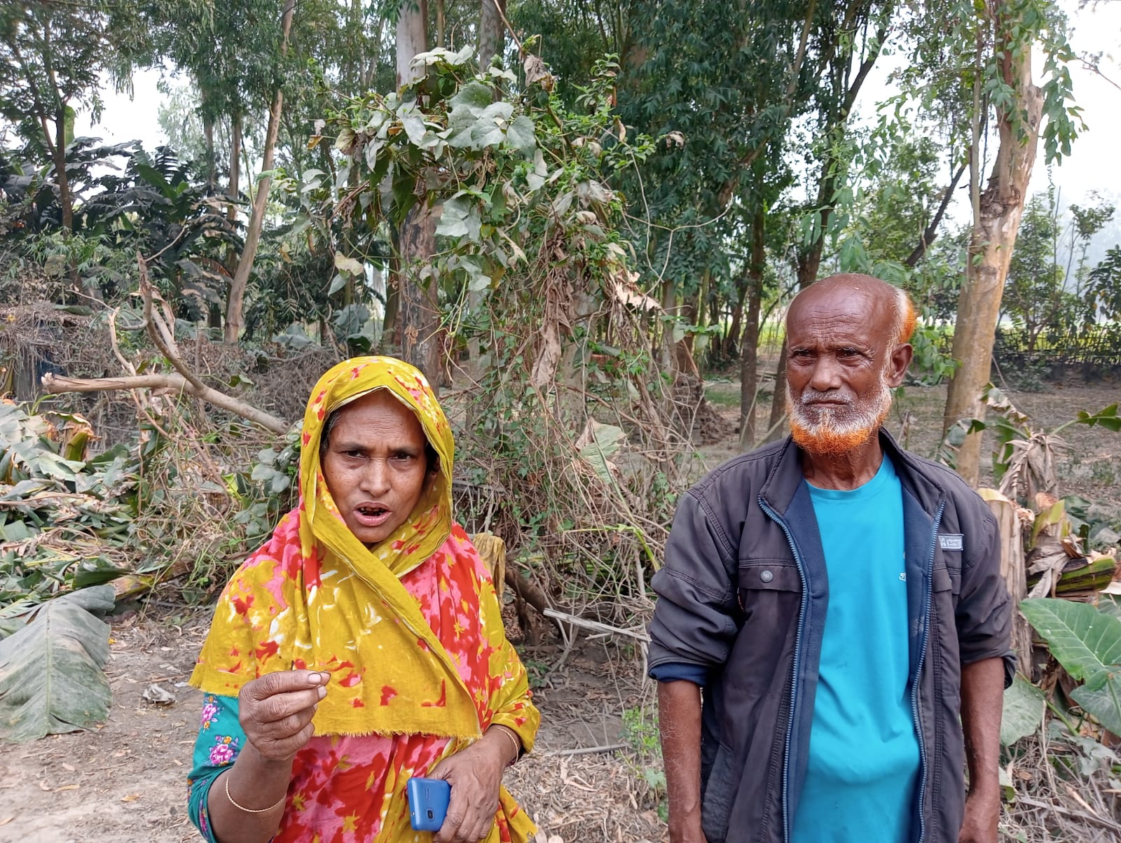 দিনাজপুরের বিরামপুরের অসহায় পরিবারের জমির ফলের গাছ কেটে নিধন,রাজনৈতিক প্রতি হিংসার অভিযোগ