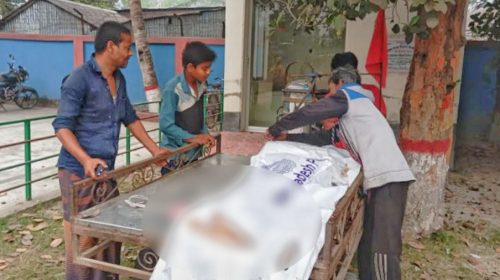 পাবনায় অটোভ্যান ছিনতাইয়ের জন্য ভাইকে শ্বাসরোধে হত্যা, আটক ৩