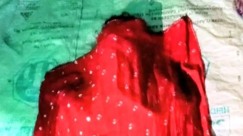 আদমদীঘিতে গৃহবধূর রহস্যজনক মৃত্যু