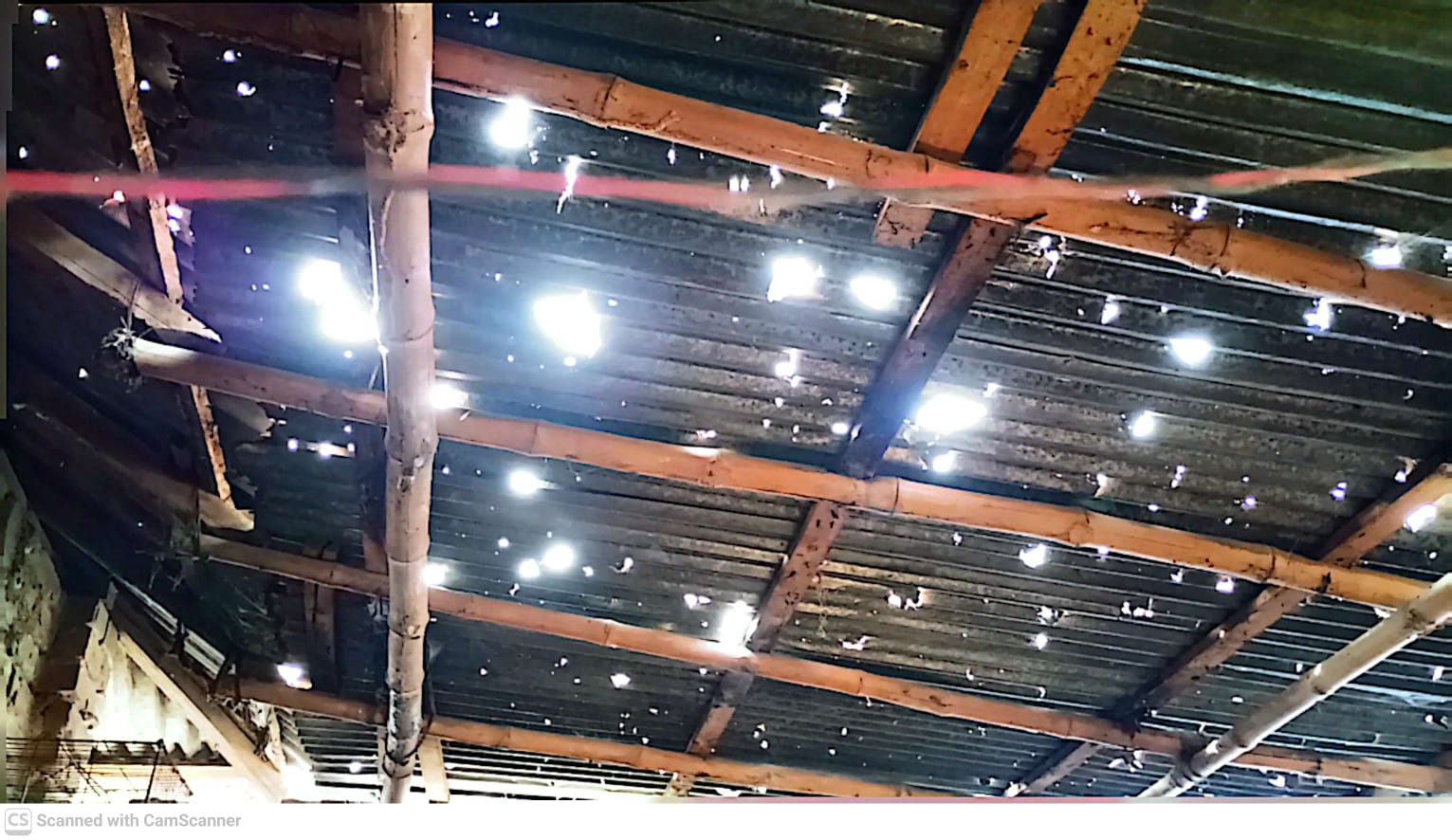 দিনাজপুরের বিরামপুরে শিলাবৃষ্টির তাণ্ডব