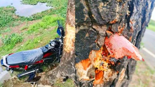শান্তিগঞ্জ থেকে শিমুলবাগান যাওয়ার পথে সড়ক দুর্ঘটনায় নিহত-১ আহত-১