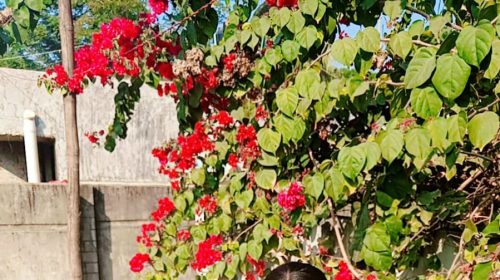 চট্টগ্রাম মা ও শিশু সন্তানের ঝুলন্ত লাশ উদ্ধার ফর এবার তদন্ত শুরু