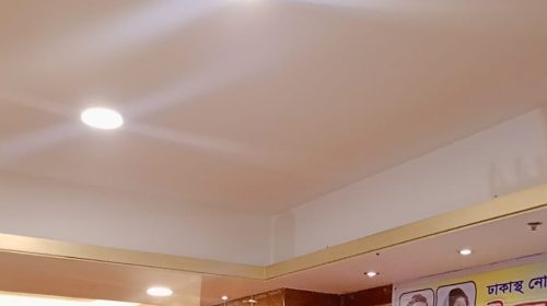 ঢাকাস্থ নোয়াখালী জাতীয়তাবাদী পেশাজীবী ফোরামের উদ্যোগে ইফতার ও দোয়া মাহফিল