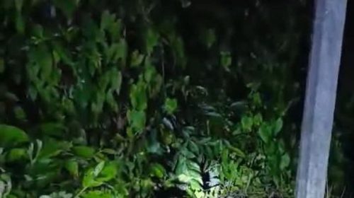 নোয়াখালীর চাটখিলে নিখোঁজের দুই দিন পর যুবকের মরদেহ উদ্ধার,