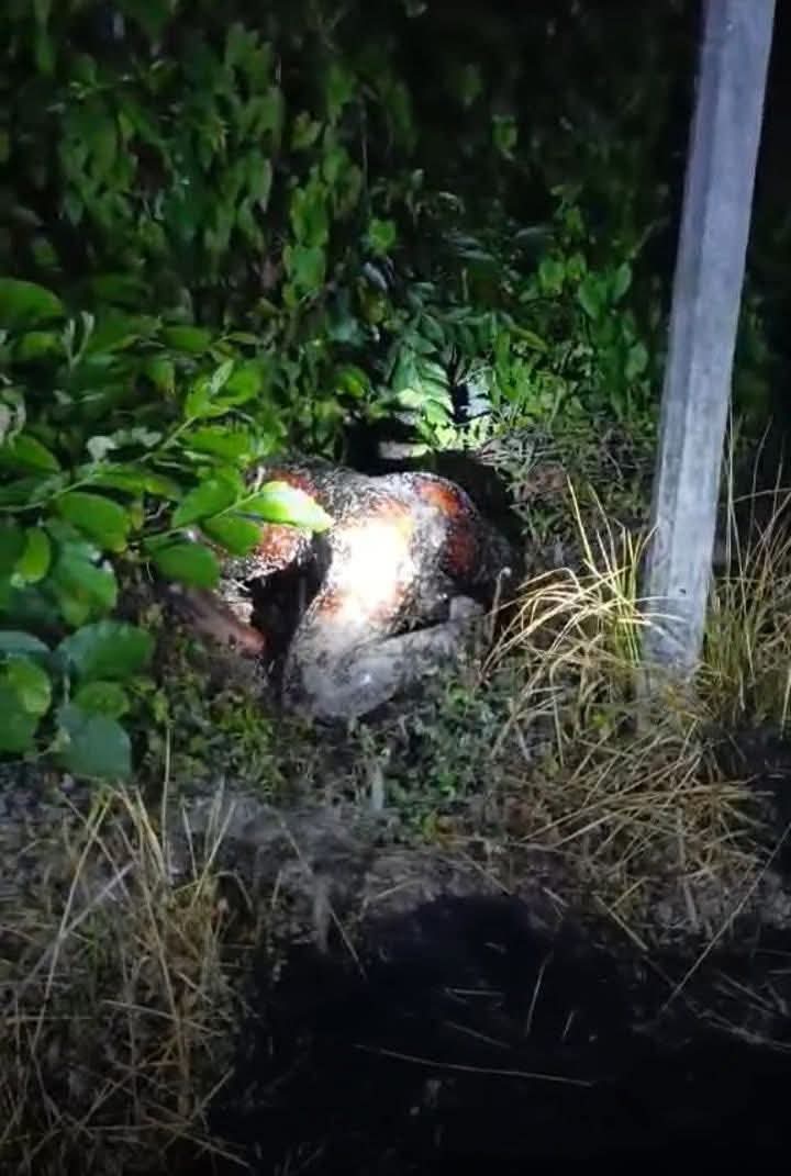 নোয়াখালীর চাটখিলে নিখোঁজের দুই দিন পর যুবকের মরদেহ উদ্ধার,