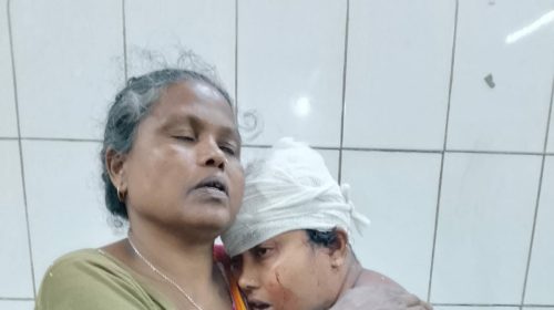 মানিকগঞ্জের শিবালয়ে জমি বিরোধে হামলা, নারীসহ আহত-৩