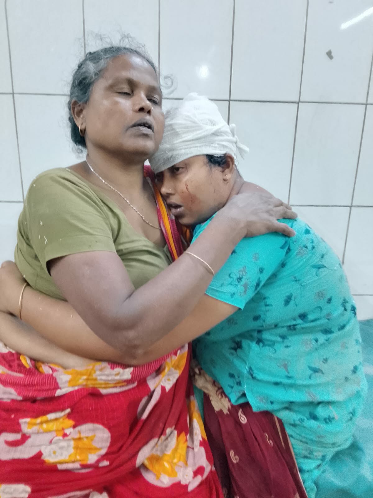 মানিকগঞ্জের শিবালয়ে জমি বিরোধে হামলা, নারীসহ আহত-৩