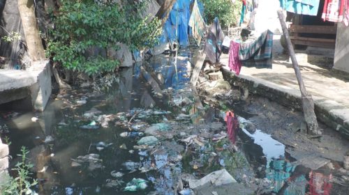 মশার রাজত্বে জিম্মি বাগেরহাট পৌরসভা: অতিষ্ঠ জনজীবন