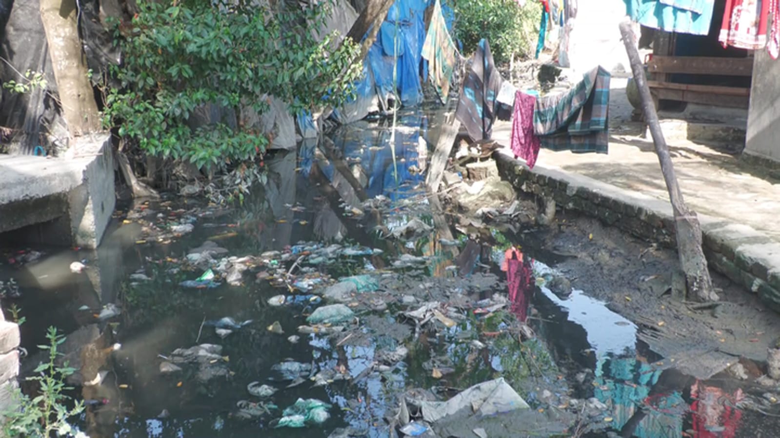 মশার রাজত্বে জিম্মি বাগেরহাট পৌরসভা: অতিষ্ঠ জনজীবন