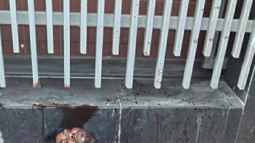 কুখ্যাত সন্ত্রাসী এলেক্স দুর্বৃত্তদের হাতে নিহত