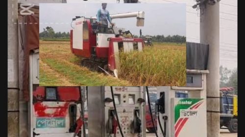 মদনে জ্বালানি তেল সংকটে ধান কাটাতে না পেরে দুশ্চিন্তায় কৃষক