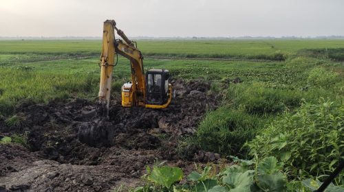 গোপালগঞ্জের উলপুরে পাকা ধানের জমি কেটে পুকুর খননের অভিযোগ