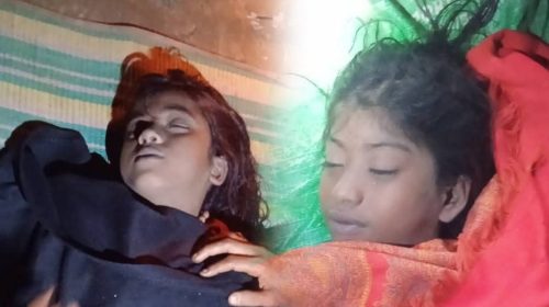 কবরস্থানের পুকুর থেকে দুই শিশুর মরদেহ উদ্ধার