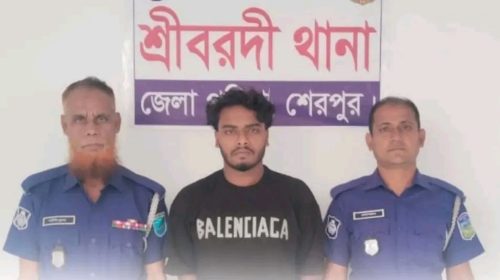 শ্রীবরদীতে ইয়াবা সহ যুবক আটক